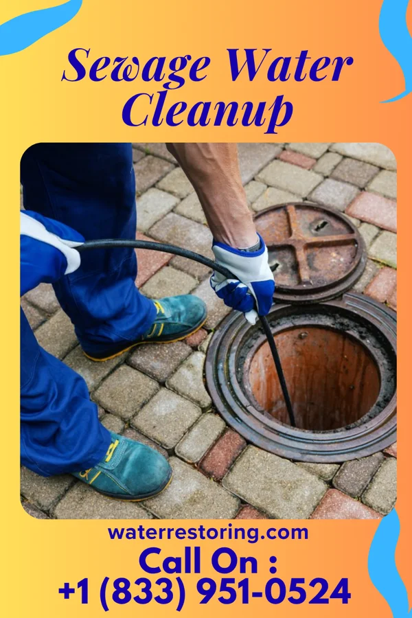 Sewage Water Cleanup in Trumbull Center, CT