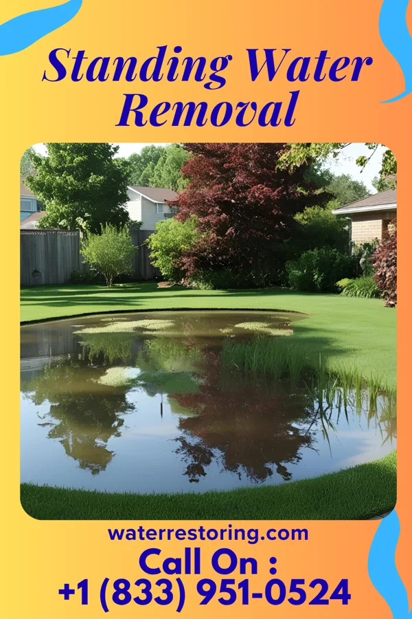 Standing Water Removal in Trumbull Center, CT